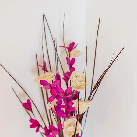 Ana - One Bedroom With Balcony Apartamento Cavtat